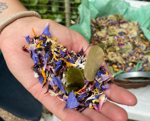 Petals to Remember hand holding petals