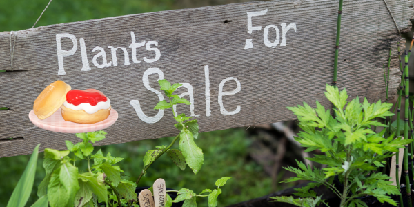 Pendeen Plant Sale and Cream Tea